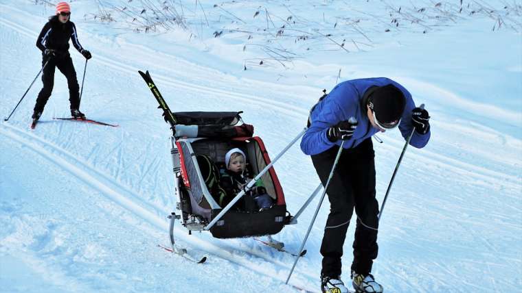 Przyczepki do narciarstwa biegowego – wyrusz na stok z maluchem!